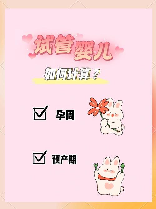 试管婴儿孕周