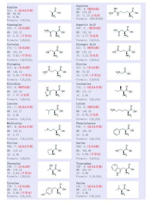 氨基酸