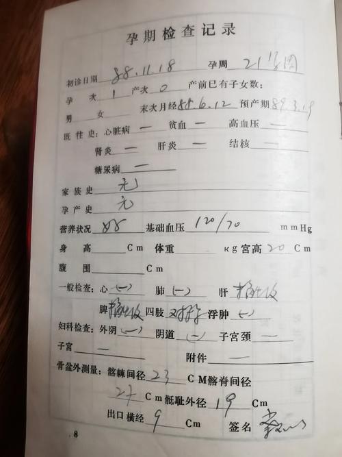 生育记录