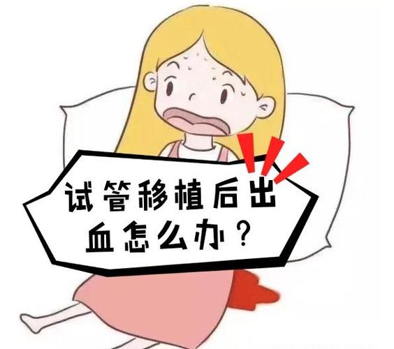 试管婴儿出血需停止多久才安全？