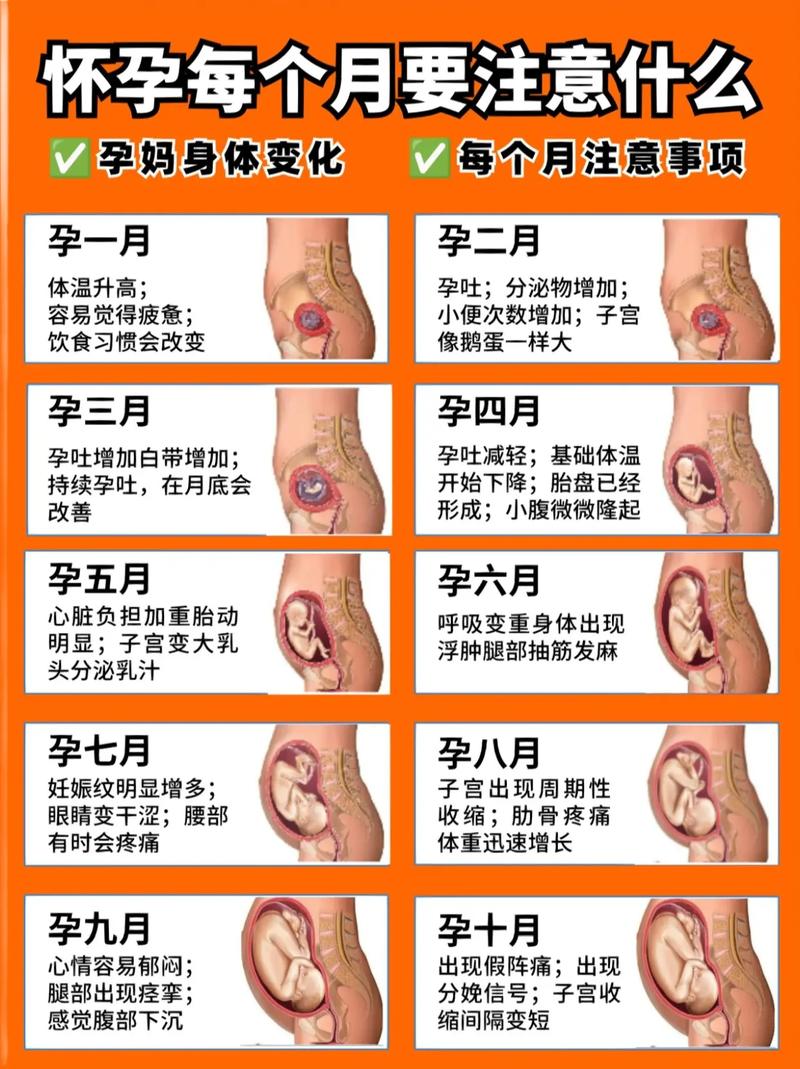 妊娠情况
