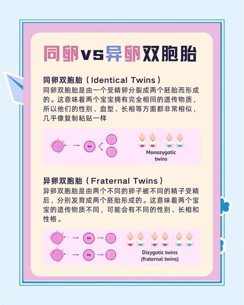 试管婴儿双胞胎机率有多高？