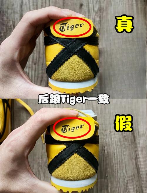  辨别真伪