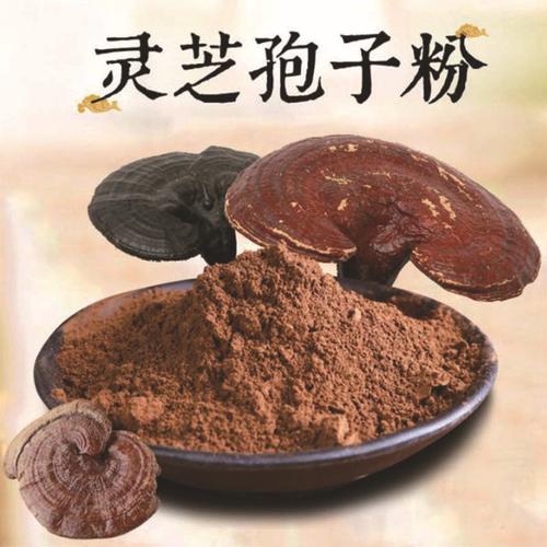 灵芝孢子粉
