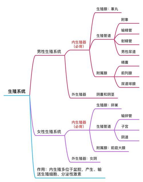 生殖知识