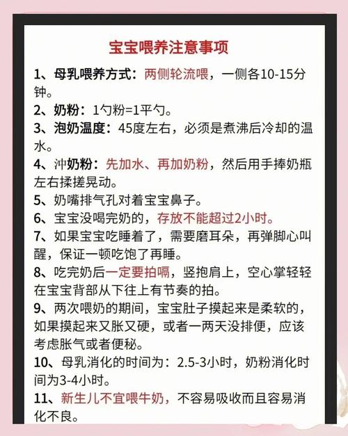  喂养注意事项