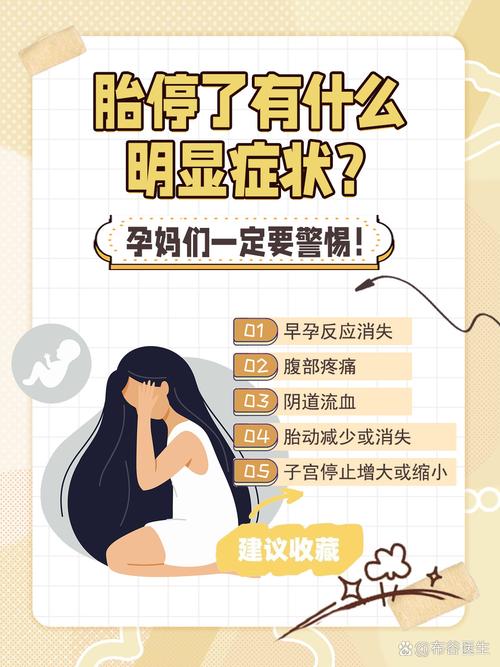 胎停应对