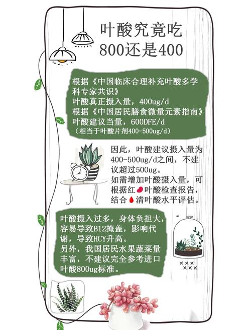 叶酸摄入量