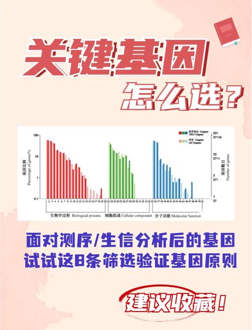 挑选最佳基因
