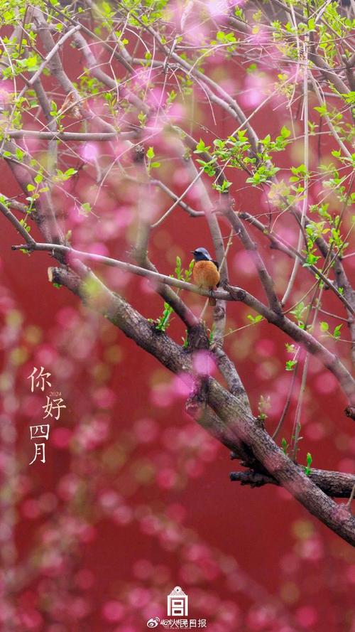  月份