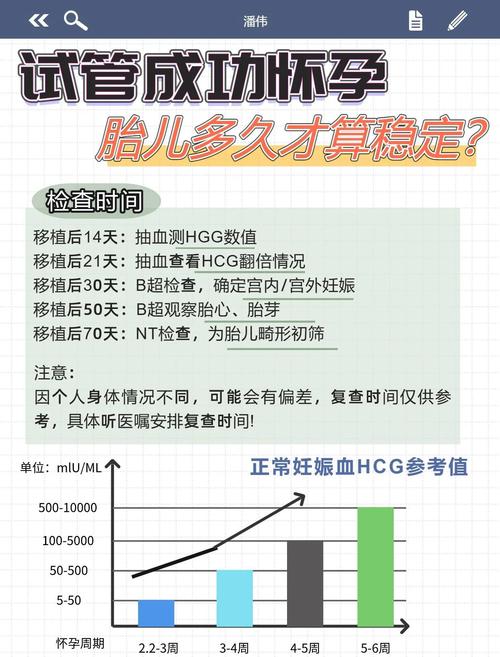 试管婴儿意外自然怀孕成功率有多高？