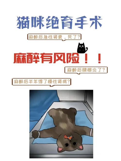  麻醉风险