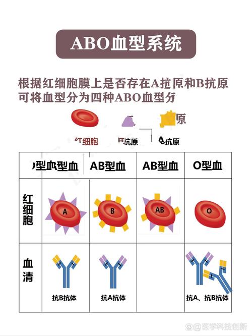 血型变异
