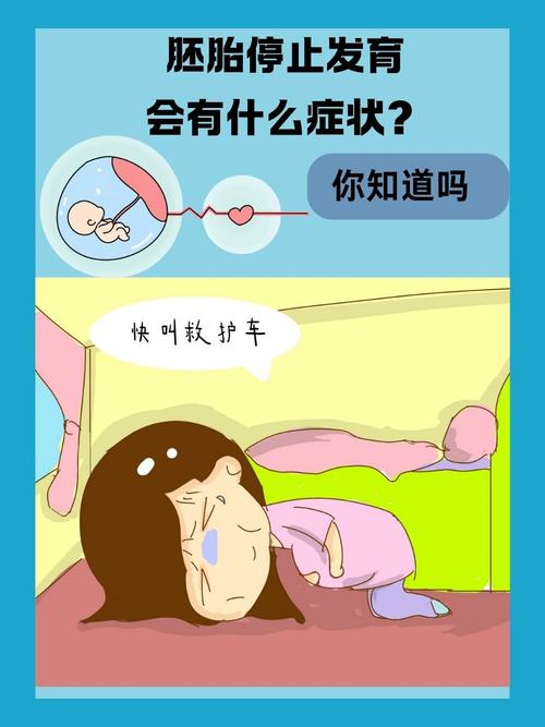 胚胎发育障碍