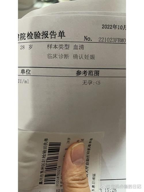 怀孕初期14天