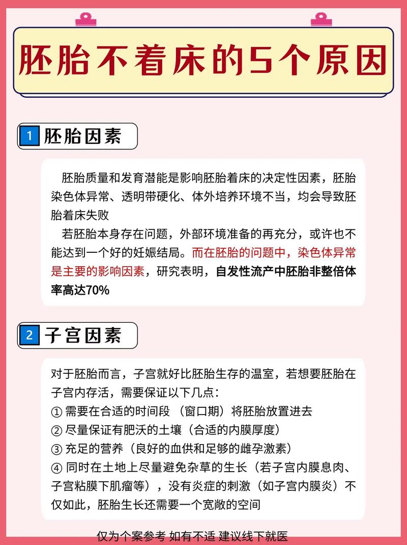 胚胎未着床