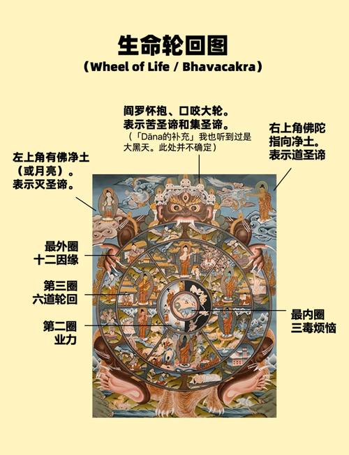 生命轮回