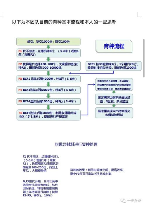 选育过程