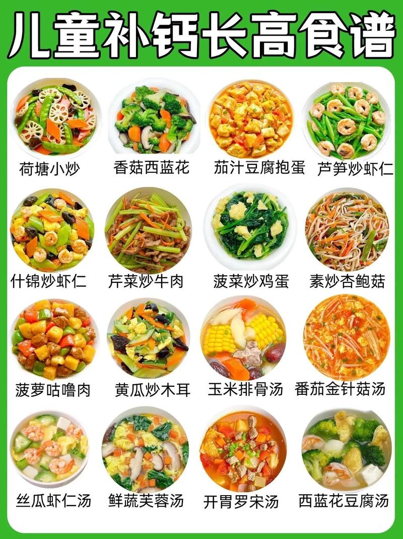 食谱
