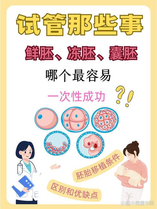 试管婴儿移植一个成功率高吗？