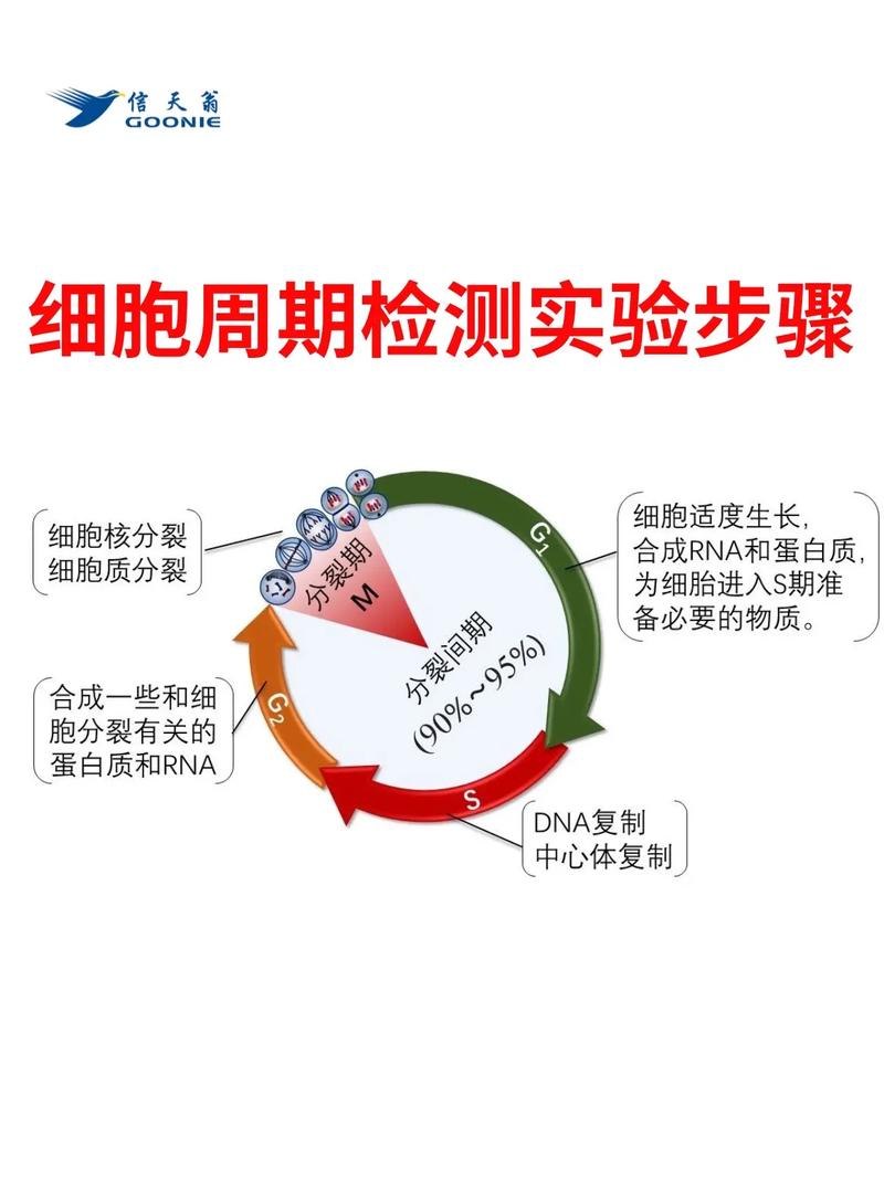 检测周期