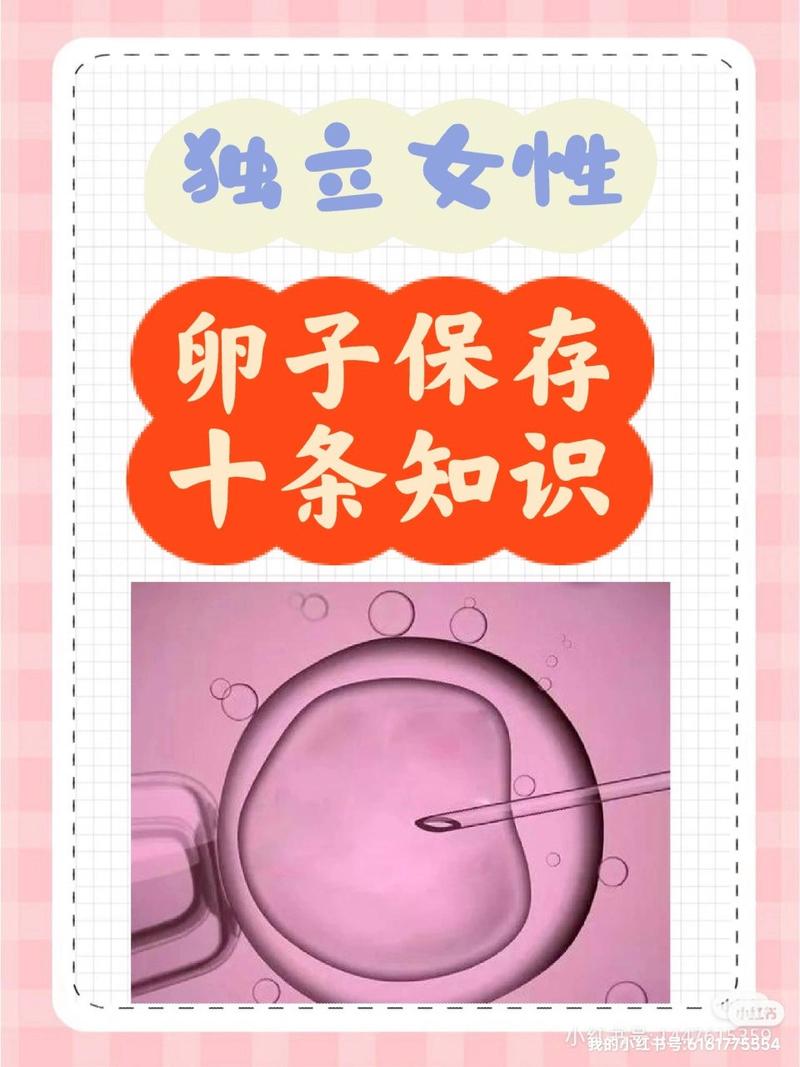 卵子保存