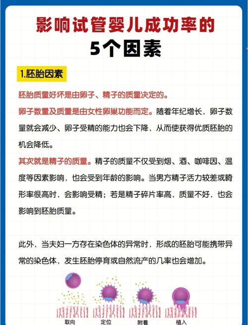 北京试管婴儿医院
描述: 本文详细介绍了北京二代试管婴儿成功率的相关影响因素，如年龄、精子卵子质量等，并推荐了北京协和医院、北医三院、301医院等开展该技术的医院，为有需求的夫妇提供参考。