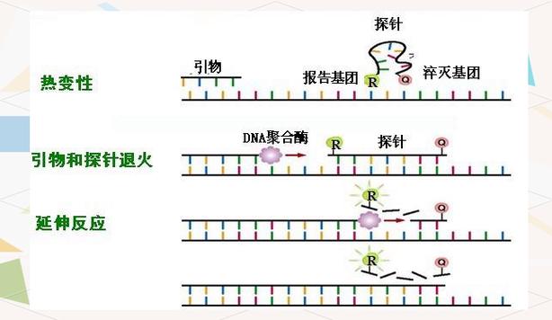 探针技术