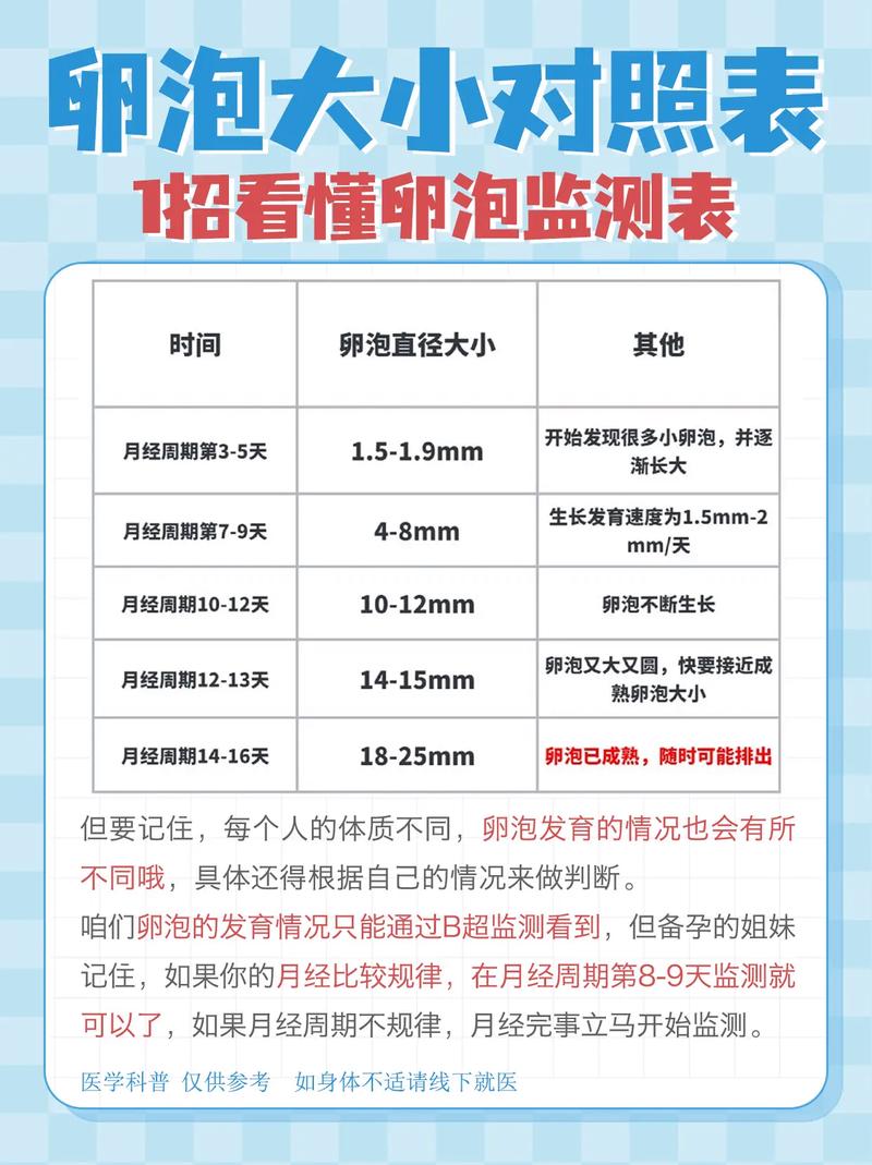卵泡大小标准