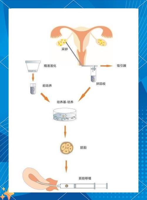 试管婴儿进入周期6后如何调理？