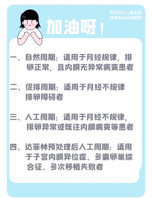 内膜准备
描述: 本文详细介绍了试管婴儿移植解冻技术的六大要点，包括解冻时机、方法、环境、胚胎质量评估、内膜准备及移植后护理，阐述各要点对胚胎着床成功率的影响，助读者了解该技术关键环节。