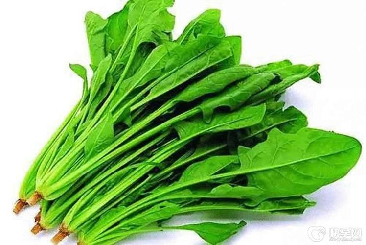 试管婴儿期间，哪些蔬菜最健康？