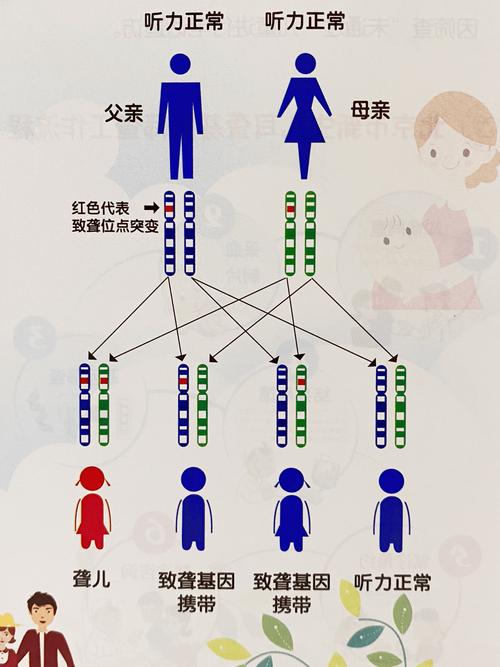 遗传断代