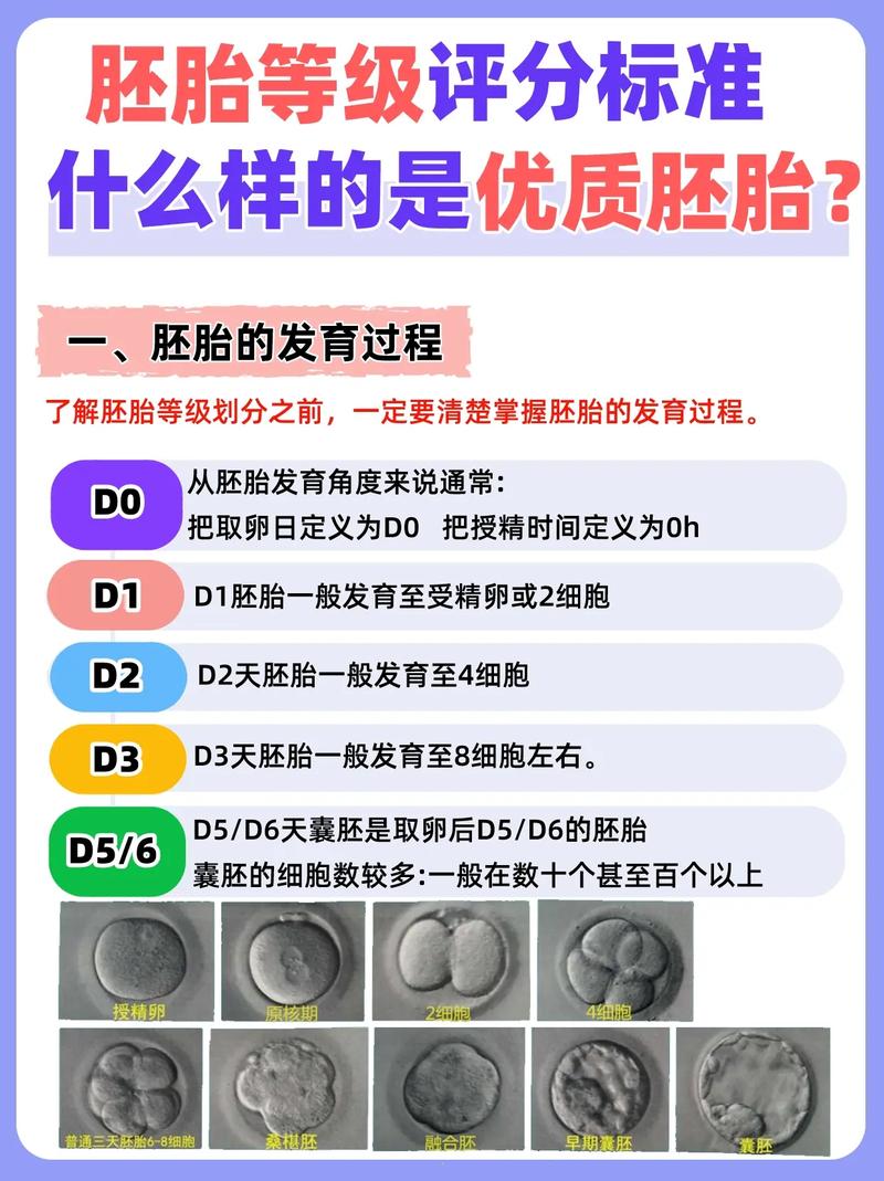 优质胚胎率