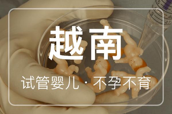 越南试管婴儿