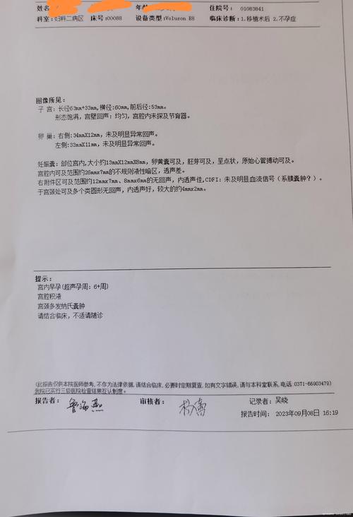 移植超检查