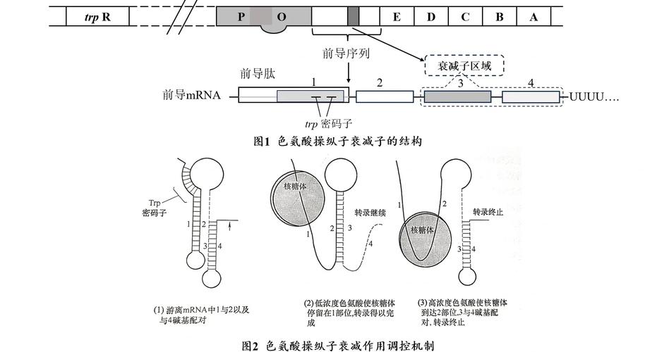 调控技术