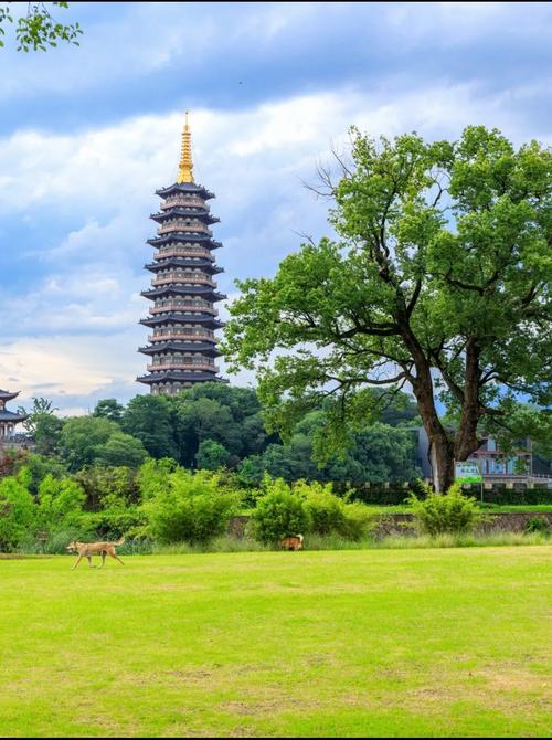 金华