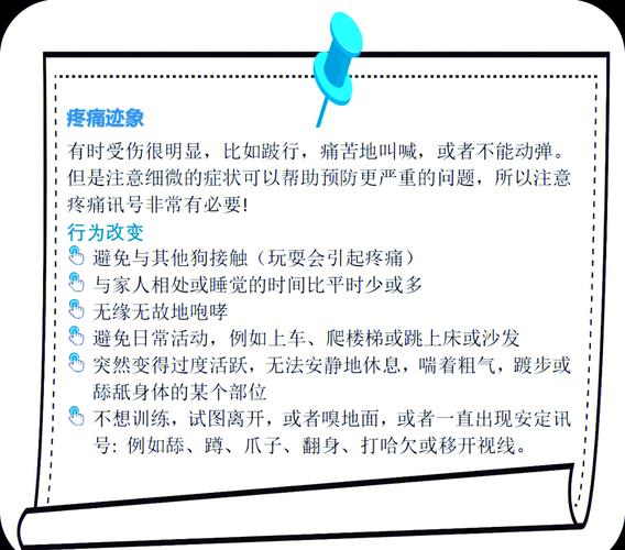 疼痛应对