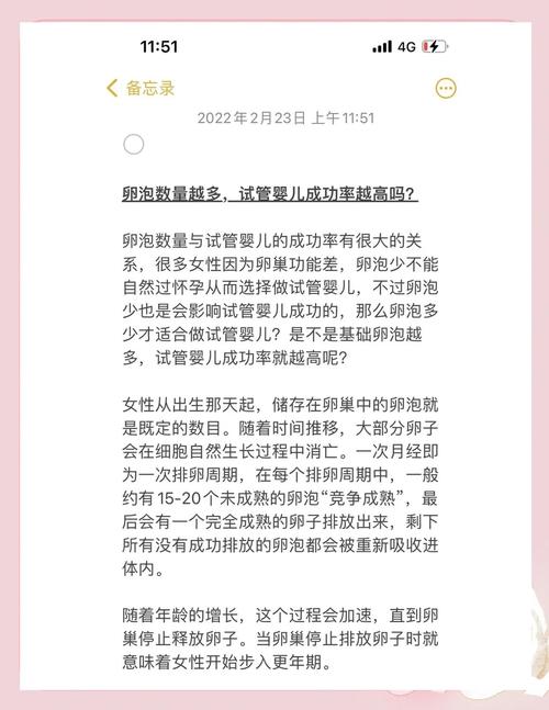 试管婴儿前：测卵泡数量有多重要？