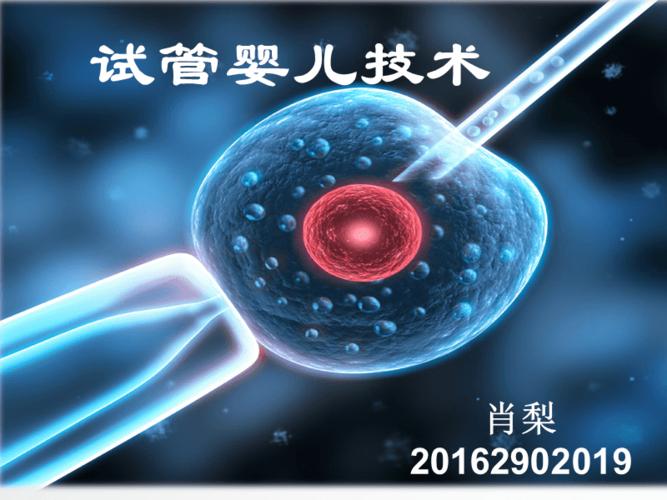 811 级试管婴儿技术