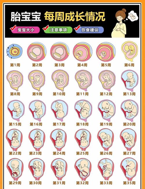 40天过程