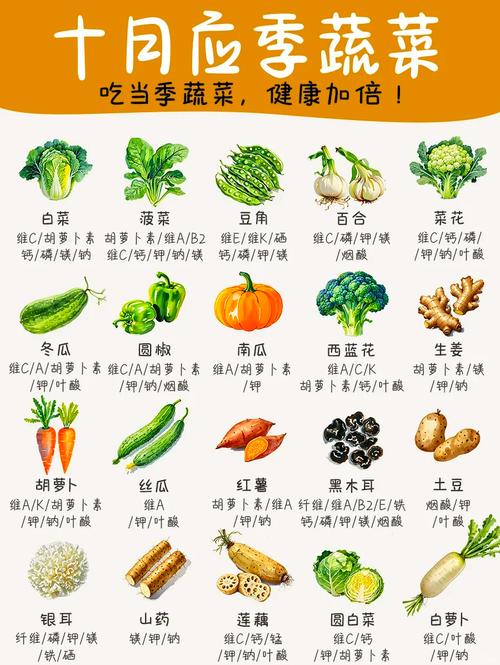  营养蔬菜