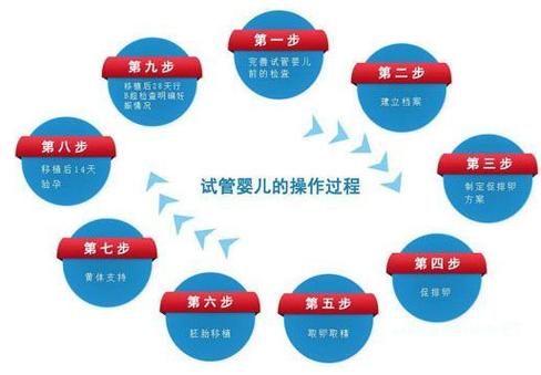 试管婴儿教学