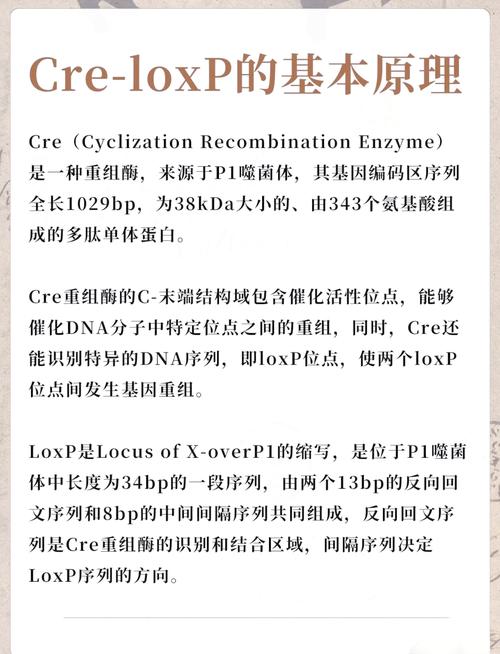 基因操控
