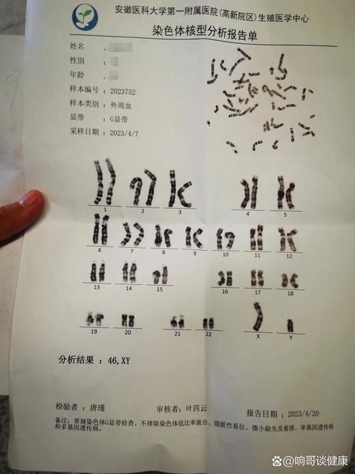 染色体阳性