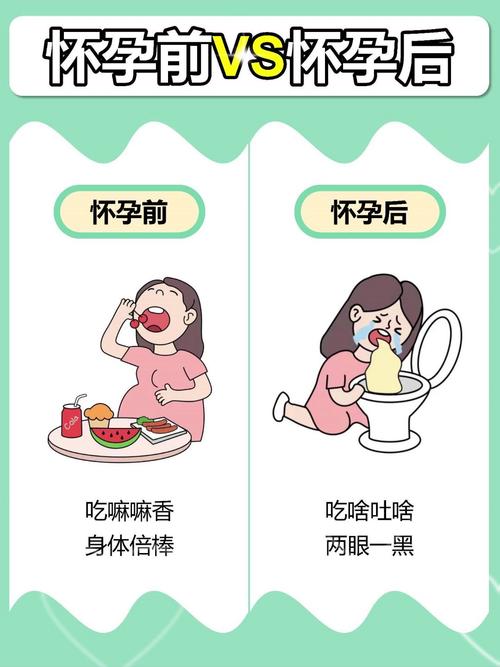  怀孕前