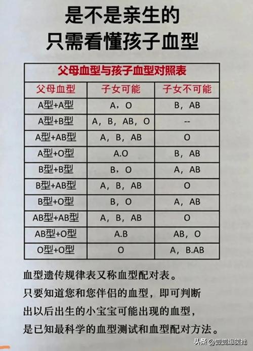 血型图表