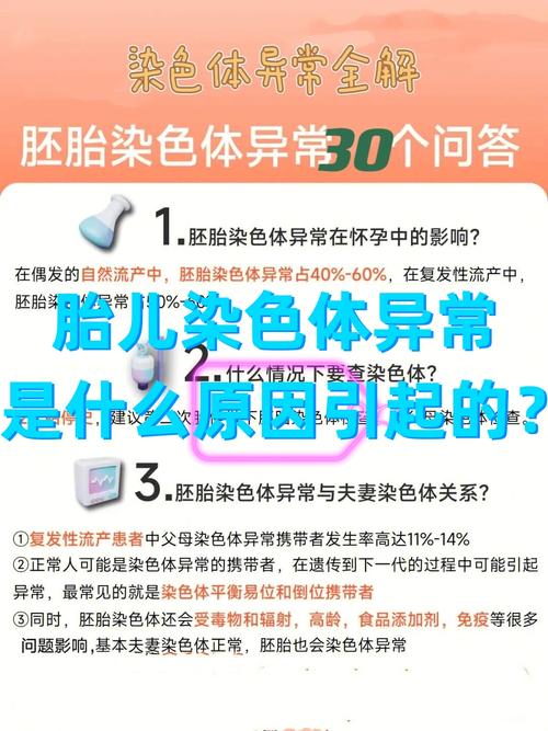 胚胎染色体异常