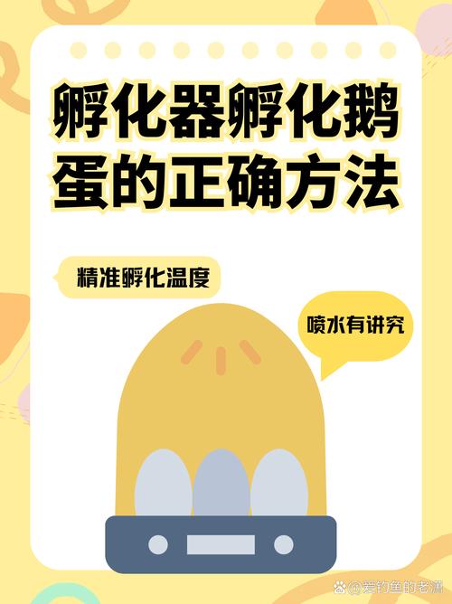 辅助孵化技术